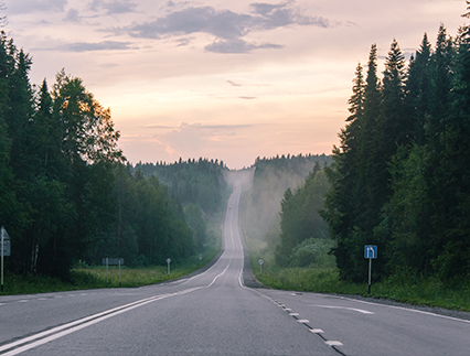Road disappearing into fog
